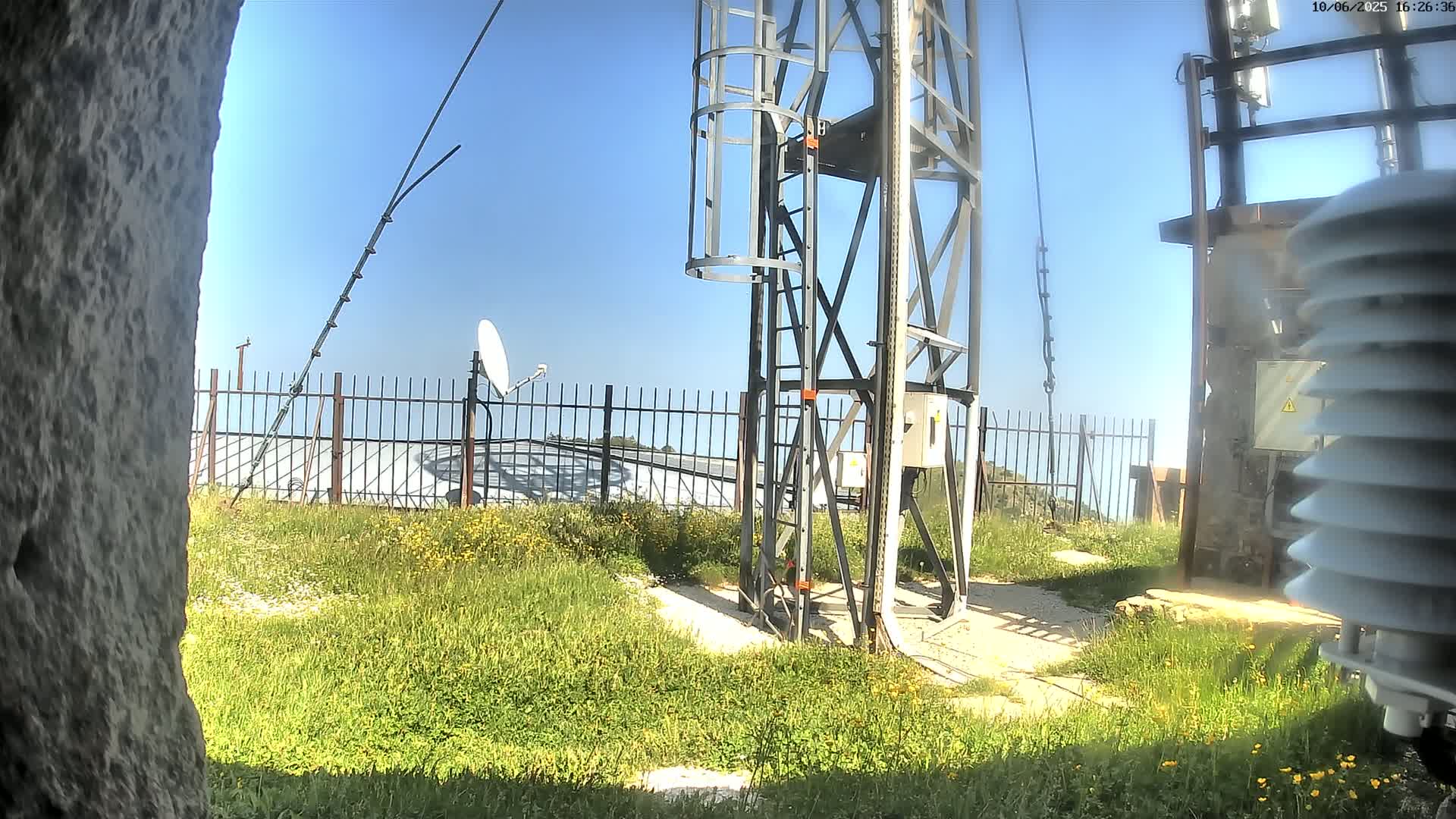 A metal tower with a ladder and satellite dish is situated on a grassy area behind a metal fence on a clear sunny day.