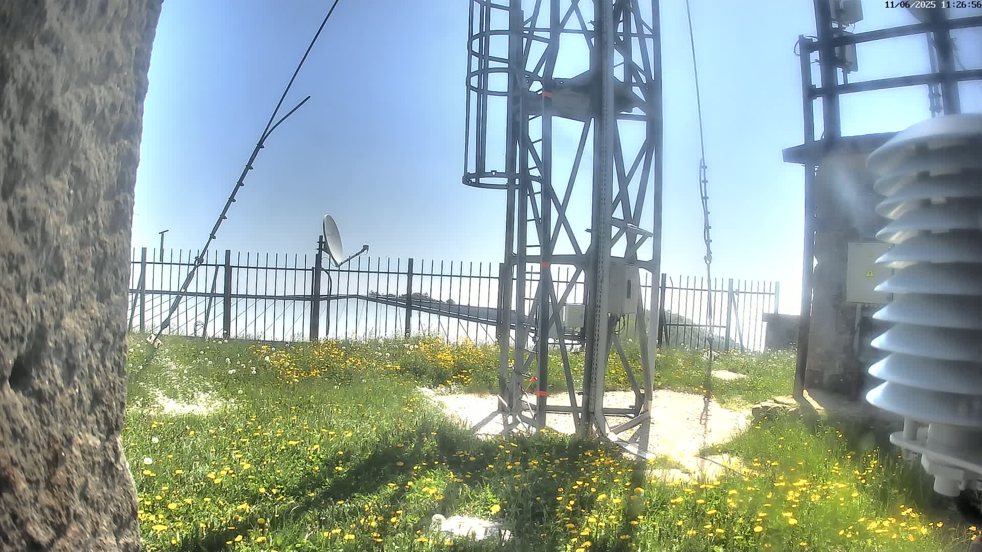 A metal communications tower stands amidst a field of yellow wildflowers on a clear, sunny day, near a satellite dish and other equipment behind a fence.