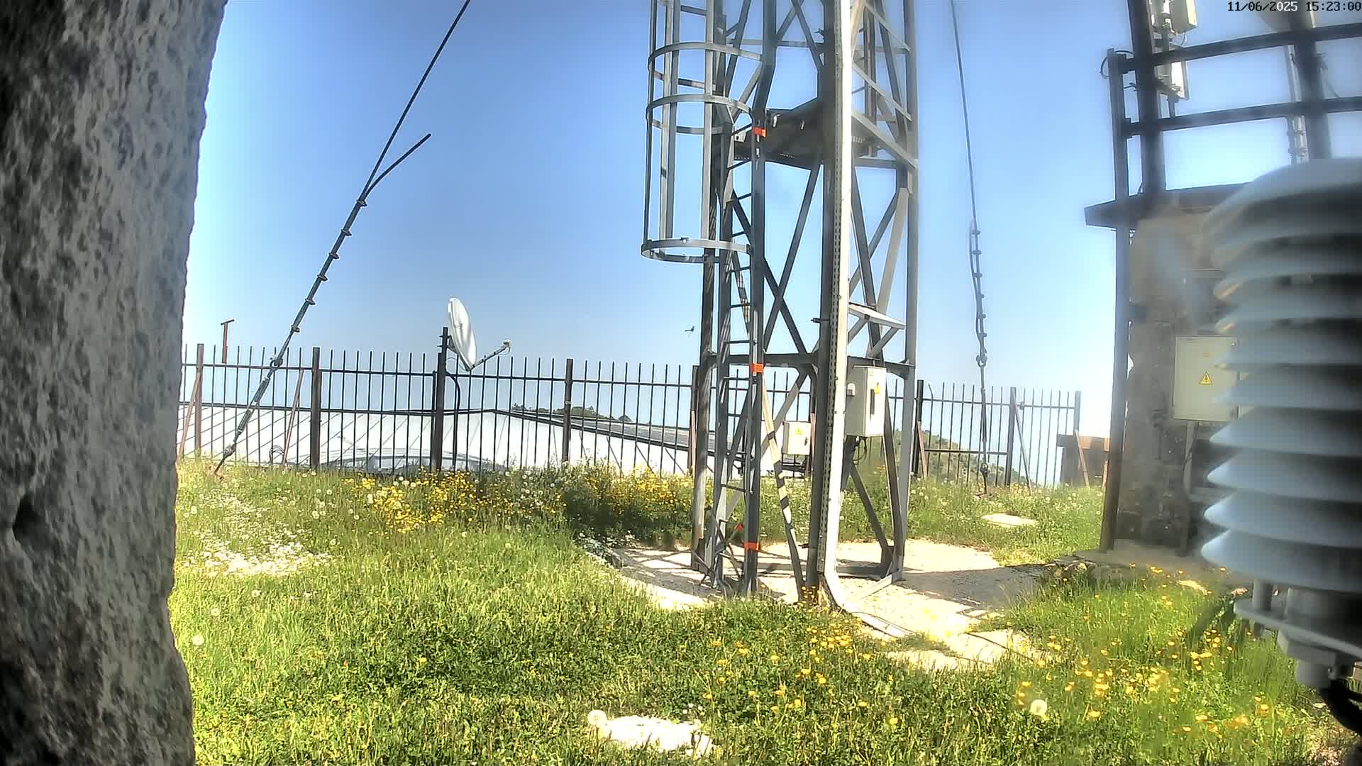 A metal tower with a ladder and various antennas stands behind a fence in a field of wildflowers under a clear blue sky.