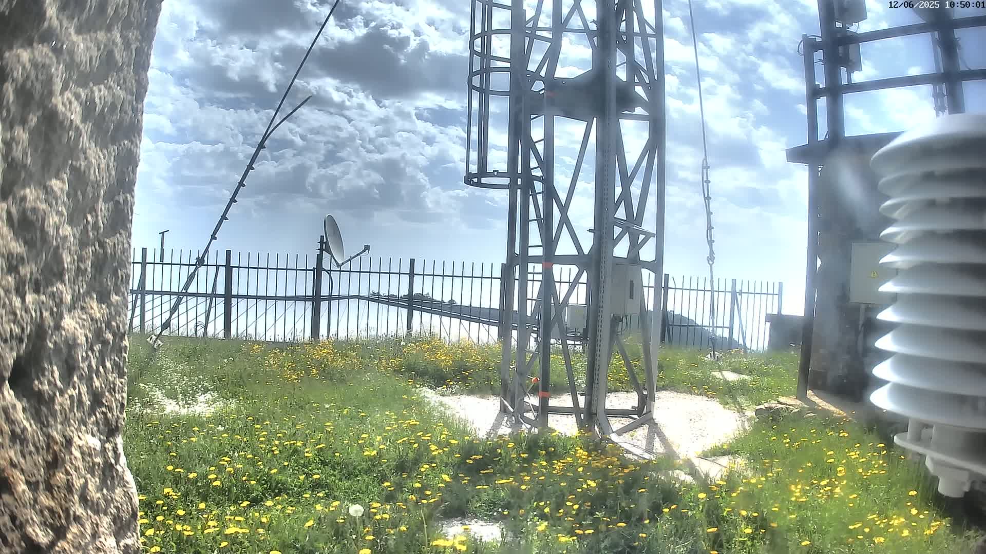 A metal communications tower stands amidst a field of yellow wildflowers under a partly cloudy sky.