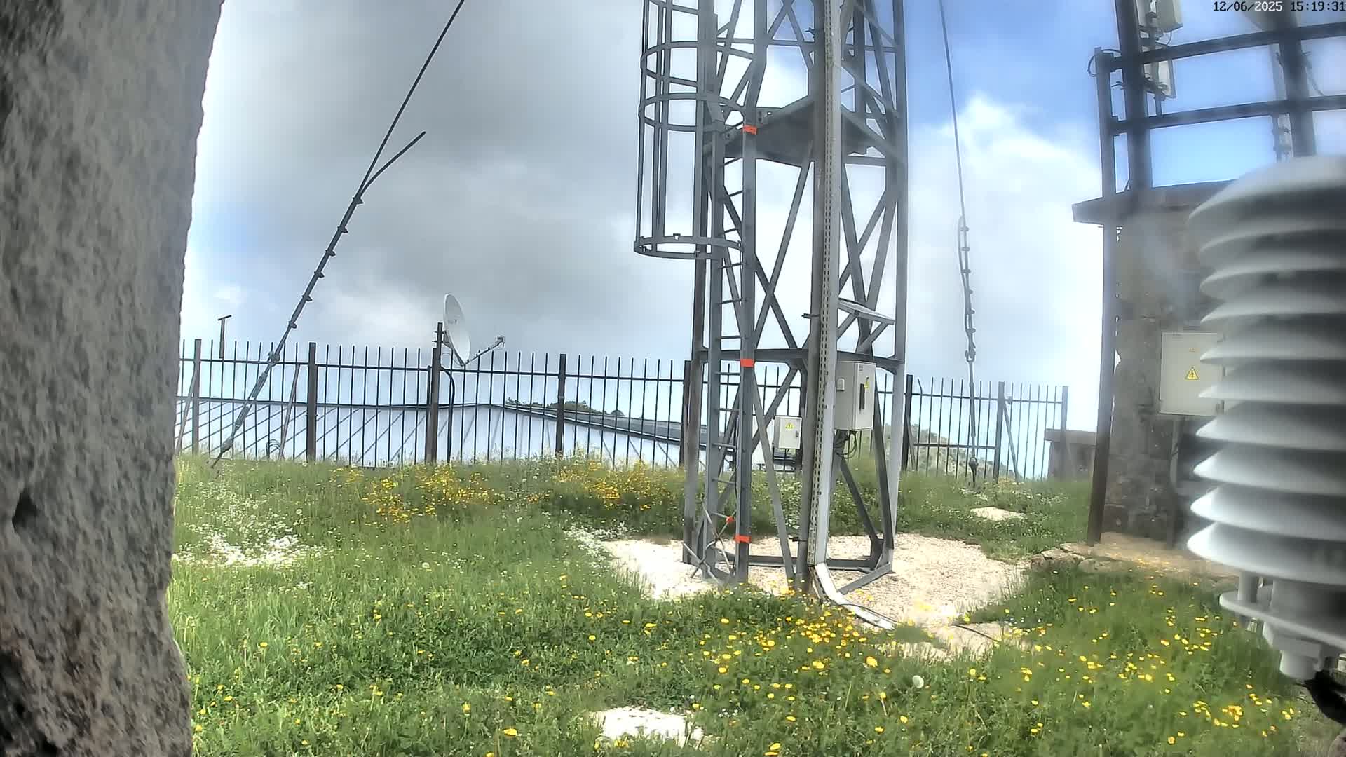 A metal tower with a staircase stands amidst a field of wildflowers under a cloudy sky, near a fence and other antennas.