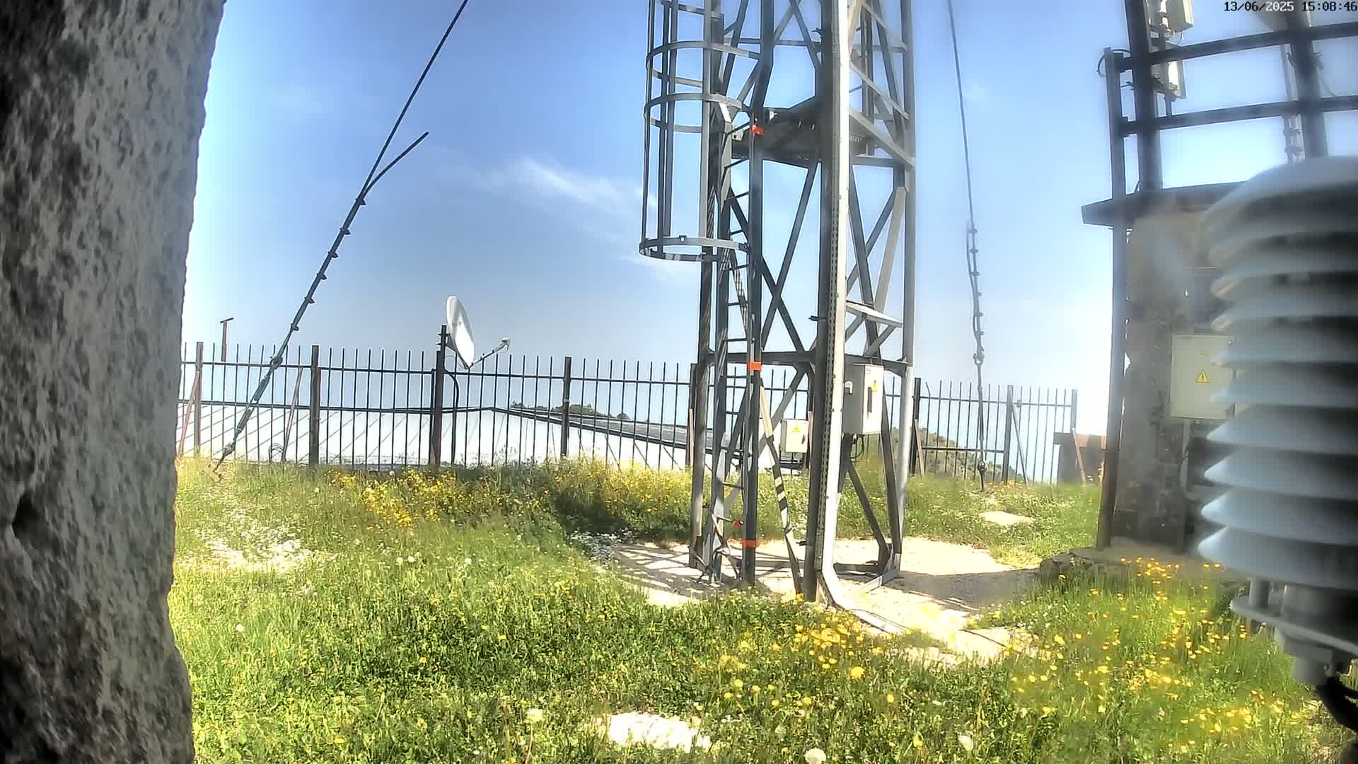 A metal tower with a ladder and various antennas stands behind a black metal fence, surrounded by a field of yellow wildflowers under a clear blue sky.