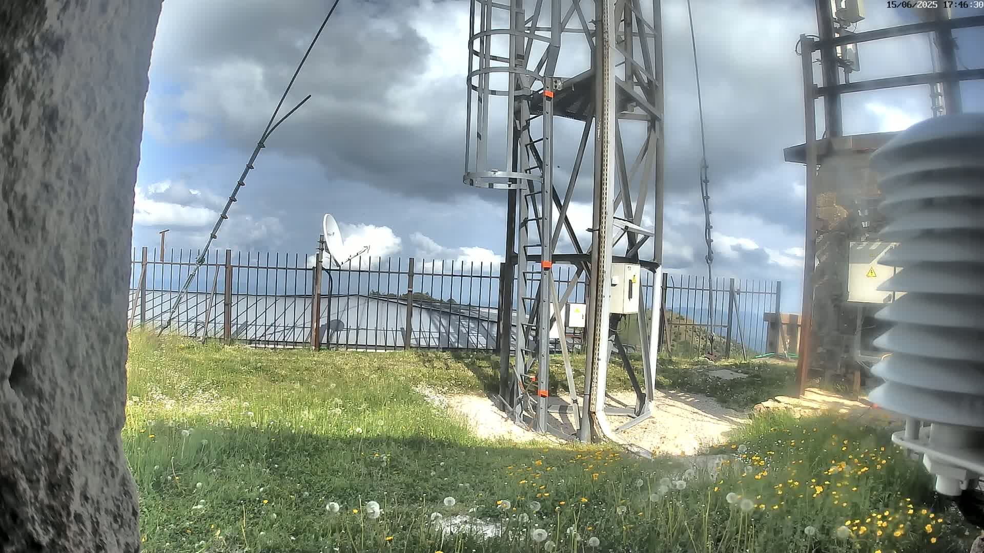 A metal communications tower with a ladder stands near a fence enclosing a grassy area with dandelions, under a partly cloudy sky.