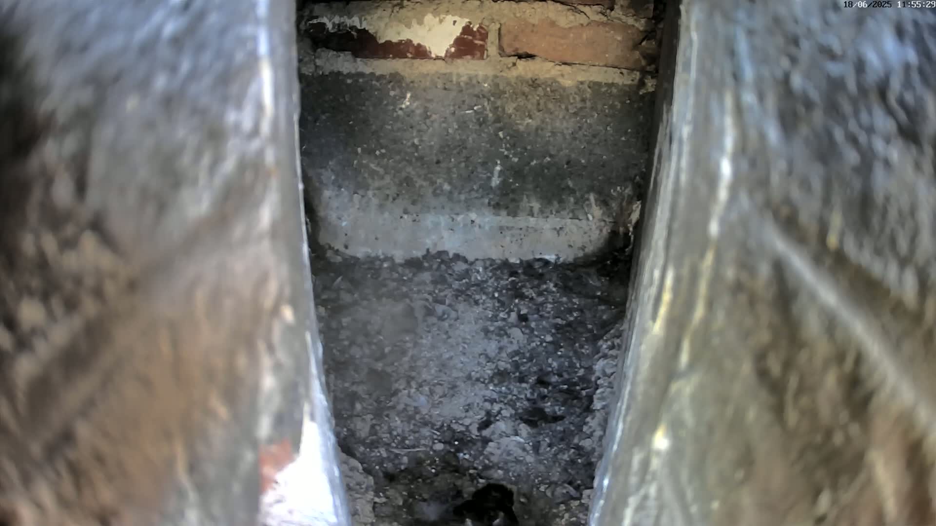 A dark, crumbly substance fills a narrow, stone-lined cavity, possibly outdoors.