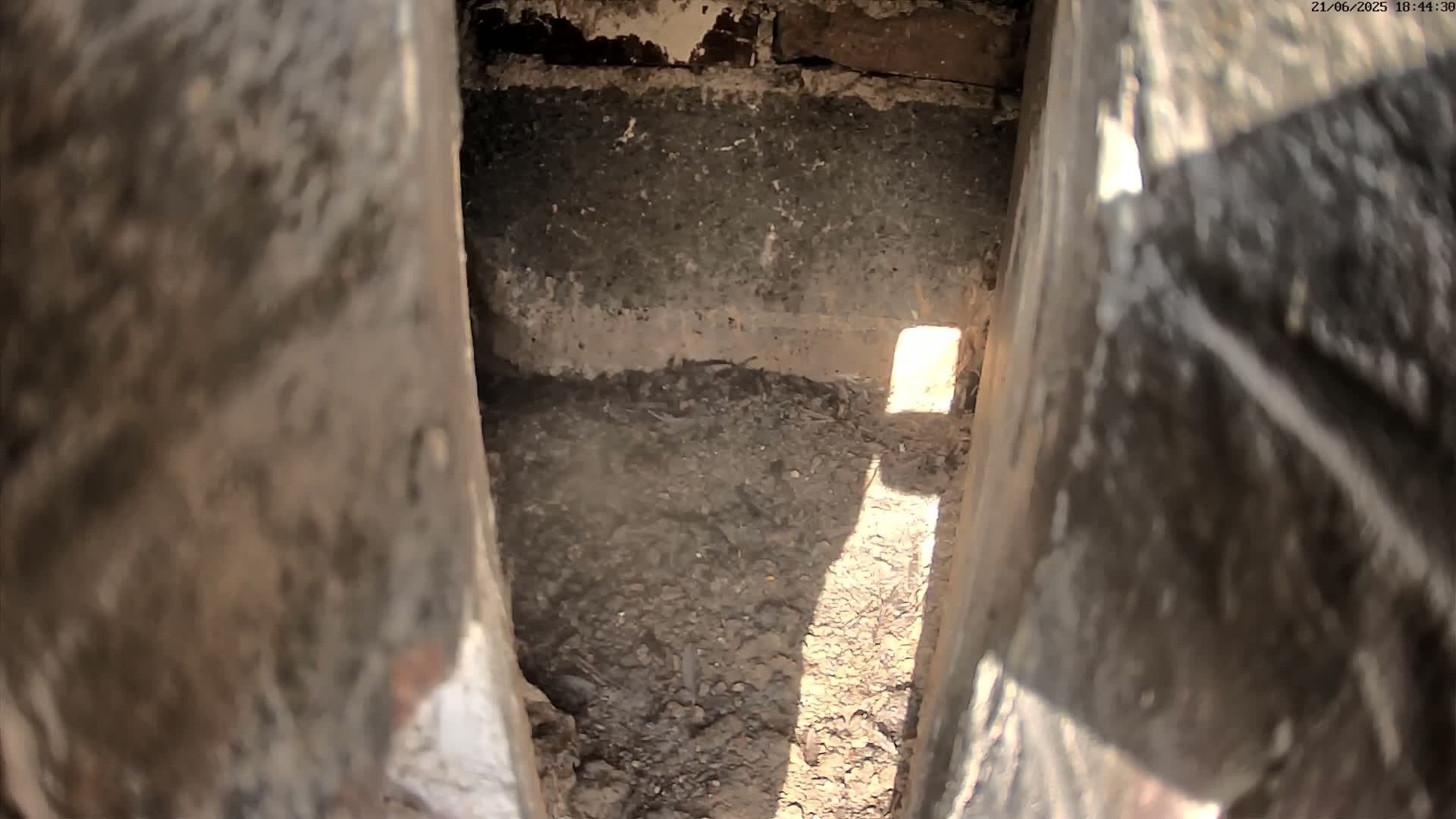 A narrow, dark space filled with dirt and debris is illuminated by sunlight streaming in from a small opening.