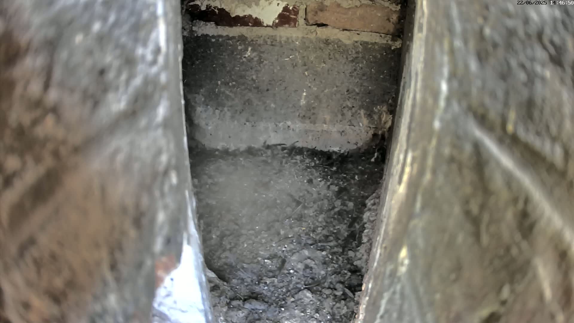 A dark, dirt-filled cavity is nestled between two rough, stone-like structures.