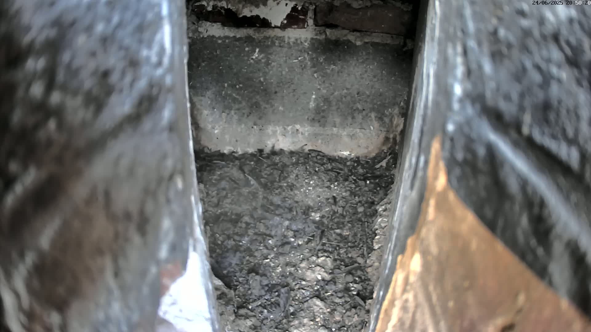 A narrow crevice filled with dark, granular material is visible between two weathered, dark surfaces.