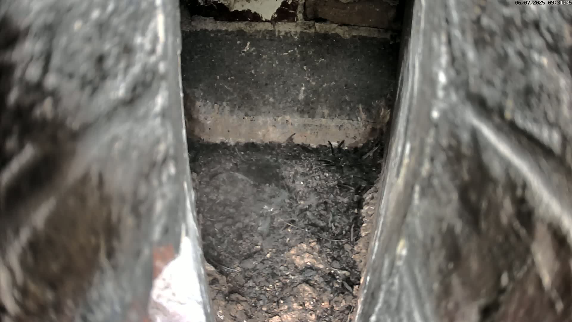 Dark soil and debris fill a narrow, V-shaped crevice between two stone structures.