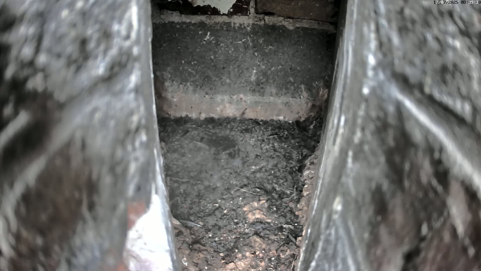 A narrow, dark cavity reveals a pile of dark brown dirt and debris.