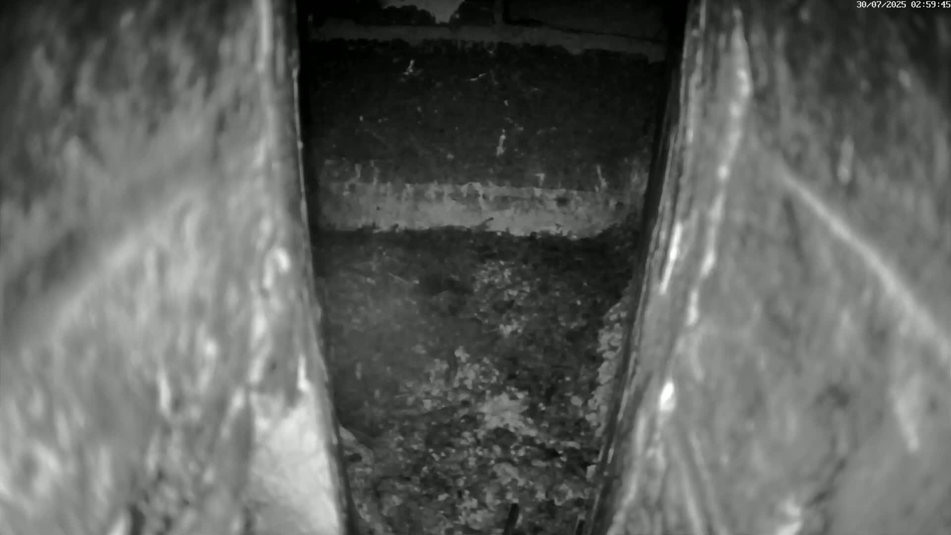A narrow, dark cavity reveals a pile of dark brown dirt and debris.