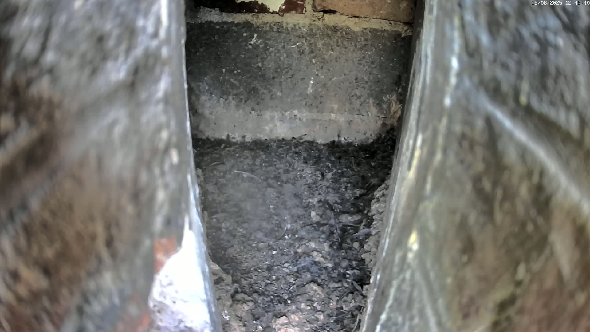 A narrow, dark cavity reveals a pile of dark brown dirt and debris.