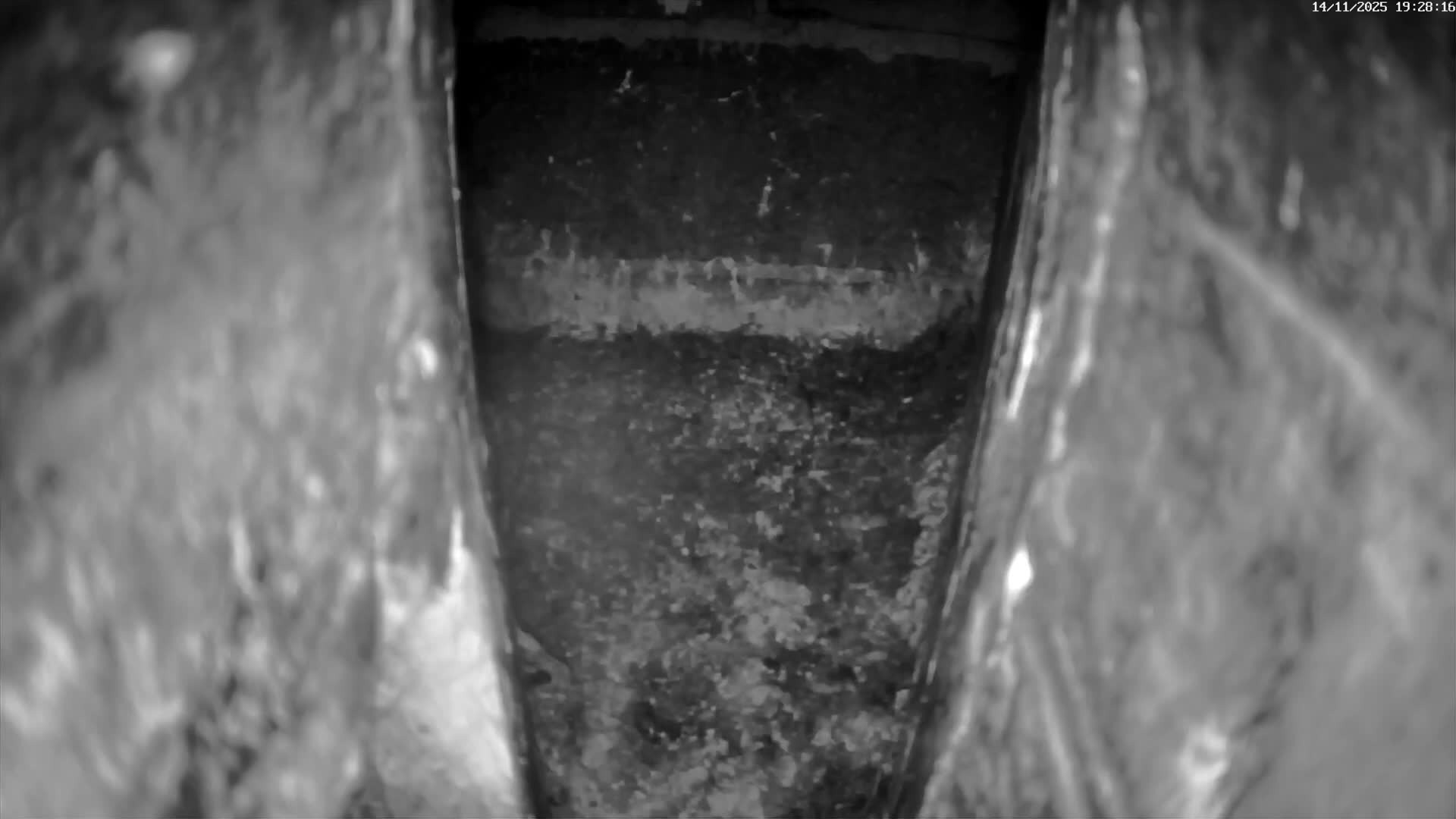 Le Havre , Faucon Crécerelle Falcons Natural Life Live Cam - Le Havre, Seine-Maritime, Normandie, France