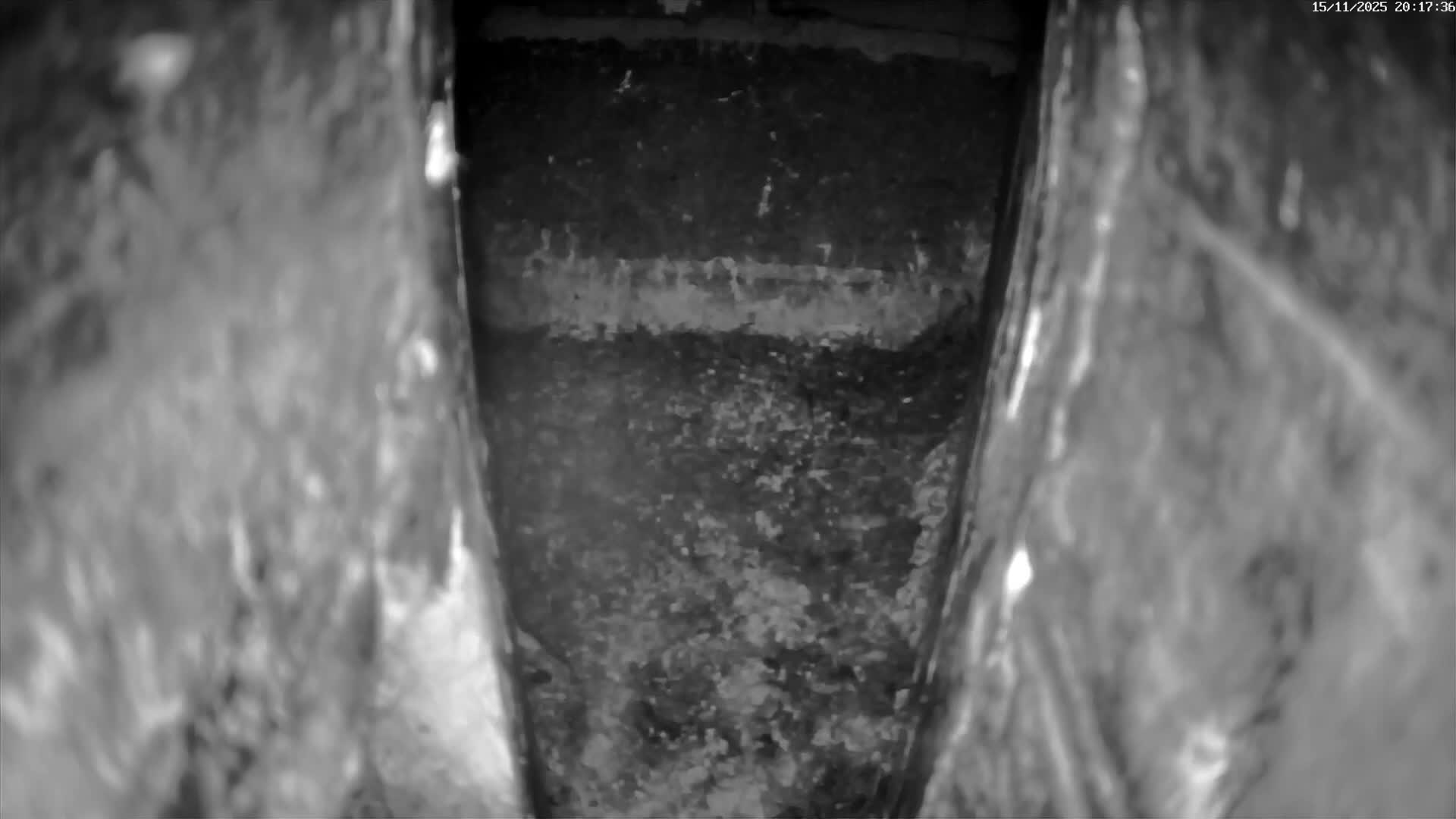 Le Havre , Faucon Crécerelle Falcons Natural Life Live Cam - Le Havre, Seine-Maritime, Normandie, France