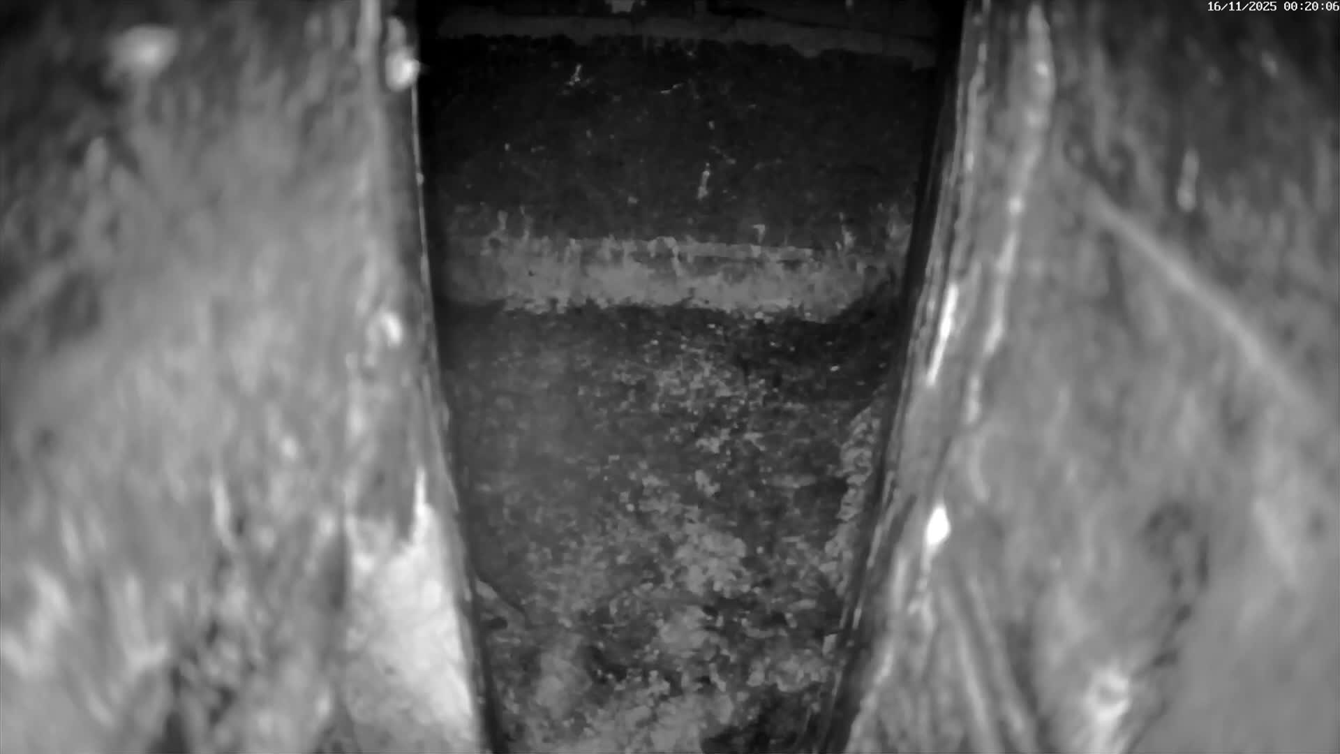 Le Havre , Faucon Crécerelle Falcons Natural Life Live Cam - Le Havre, Seine-Maritime, Normandie, France