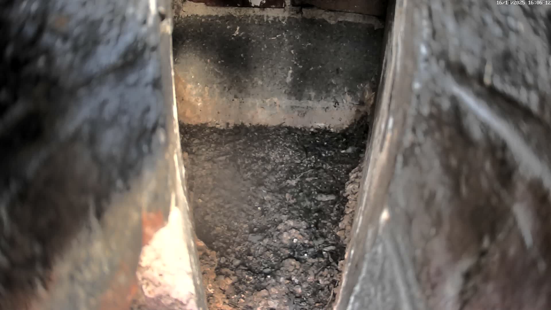 Le Havre , Faucon Crécerelle Falcons Natural Life Live Cam - Le Havre, Seine-Maritime, Normandie, France