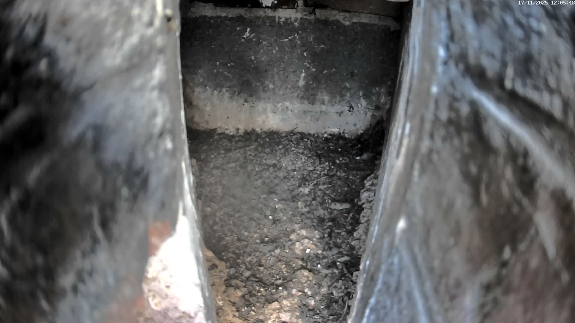 Le Havre , Faucon Crécerelle Falcons Natural Life Live Cam - Le Havre, Seine-Maritime, Normandie, France