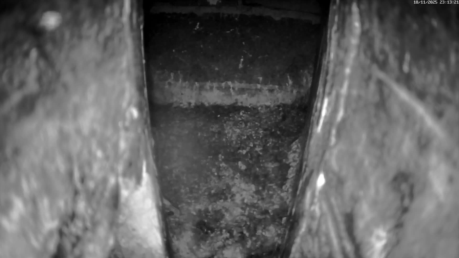 Le Havre , Faucon Crécerelle Falcons Natural Life Live Cam - Le Havre, Seine-Maritime, Normandie, France