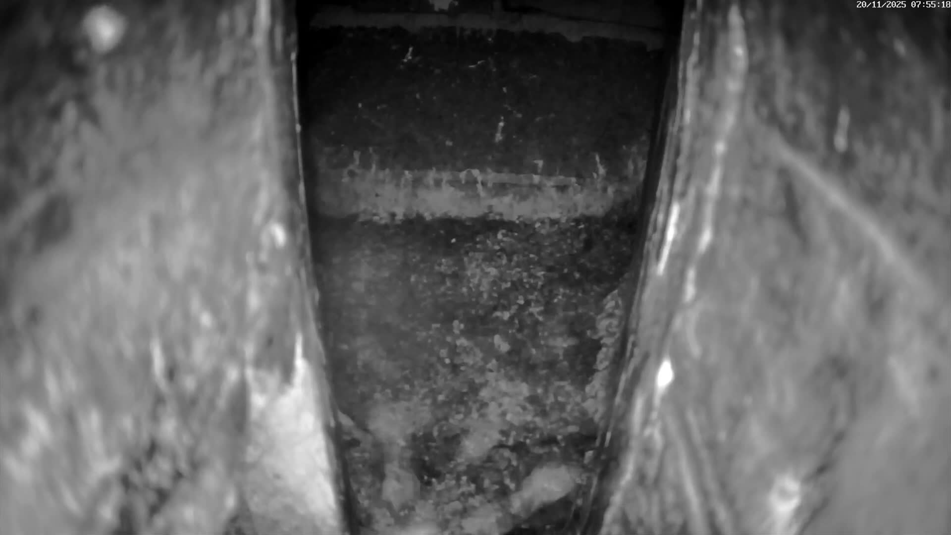 Le Havre , Faucon Crécerelle Falcons Natural Life Live Cam - Le Havre, Seine-Maritime, Normandie, France