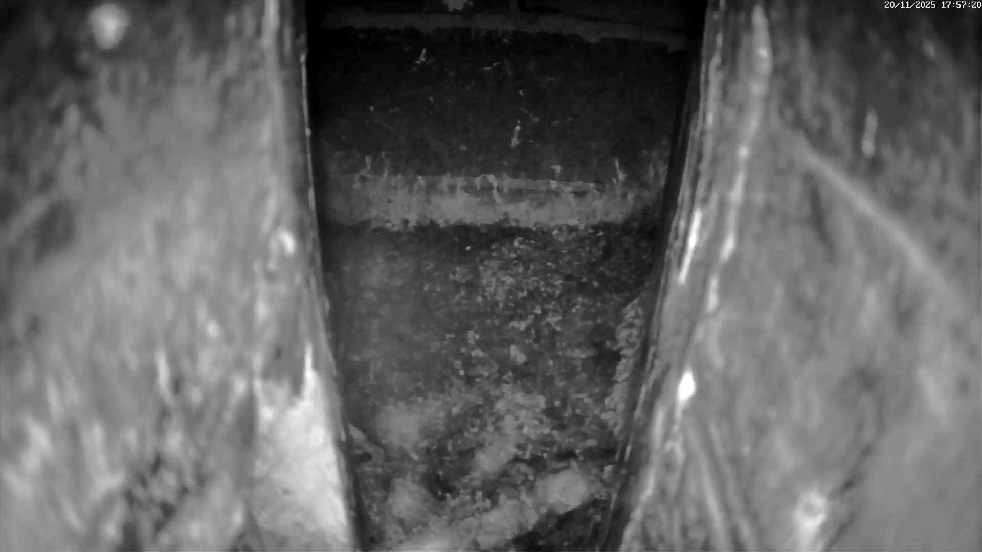 Le Havre , Faucon Crécerelle Falcons Natural Life Live Cam - Le Havre, Seine-Maritime, Normandie, France