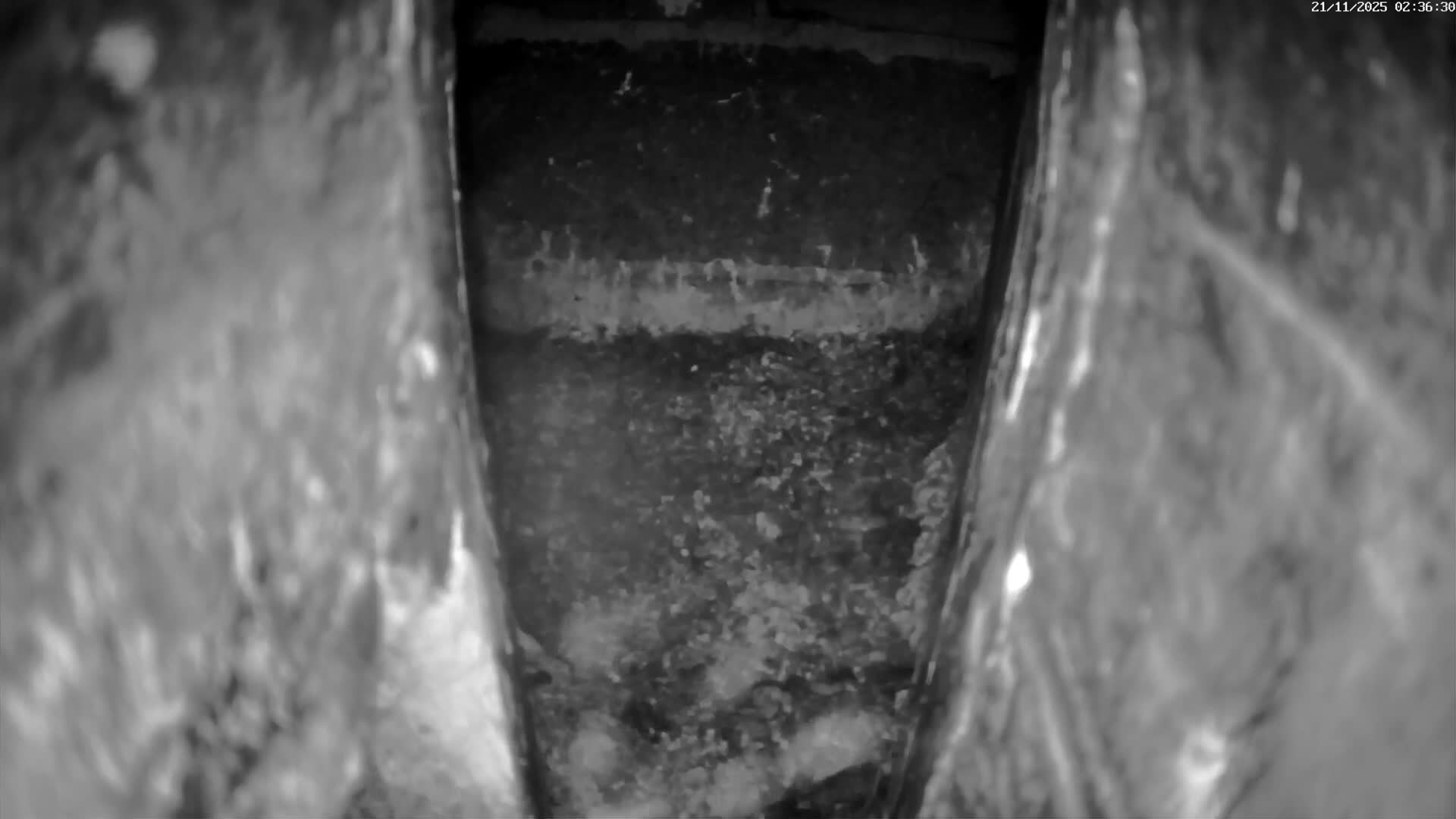 Le Havre , Faucon Crécerelle Falcons Natural Life Live Cam - Le Havre, Seine-Maritime, Normandie, France