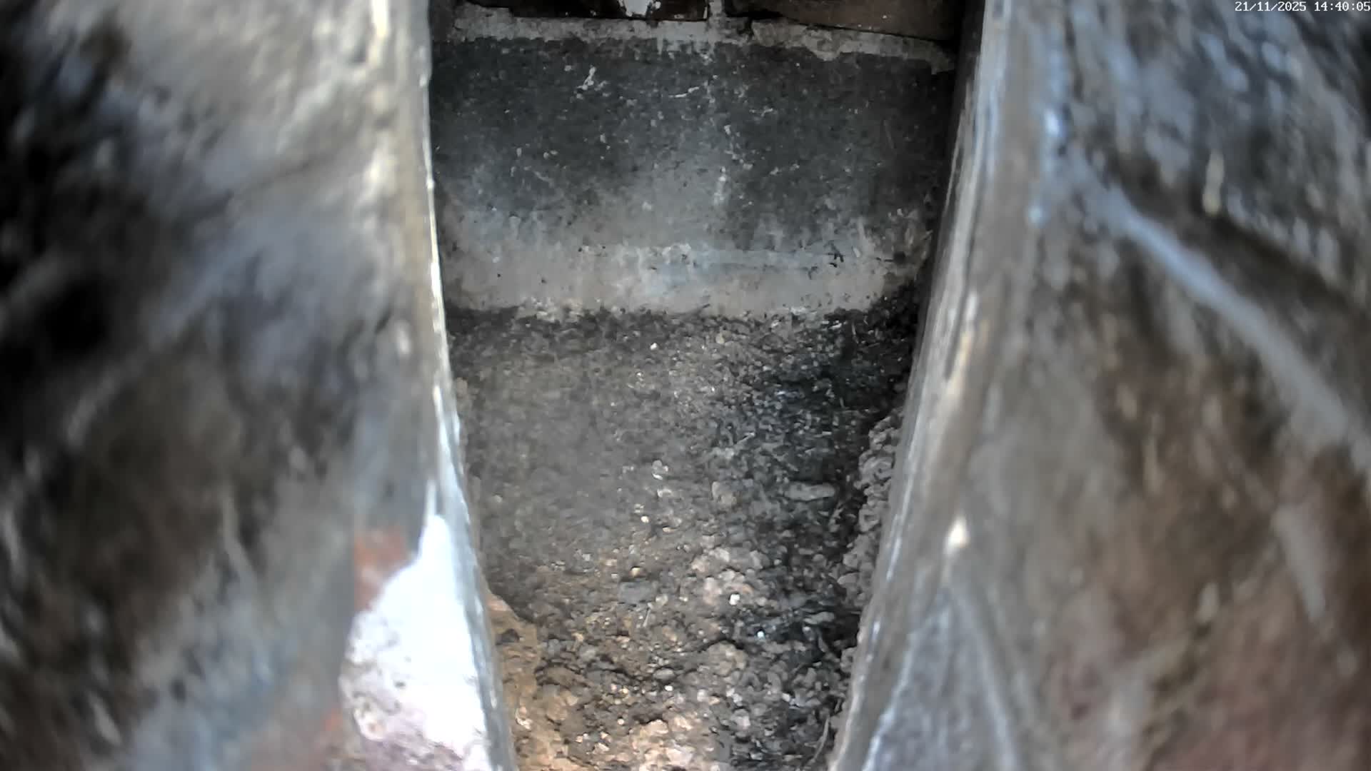 Le Havre , Faucon Crécerelle Falcons Natural Life Live Cam - Le Havre, Seine-Maritime, Normandie, France