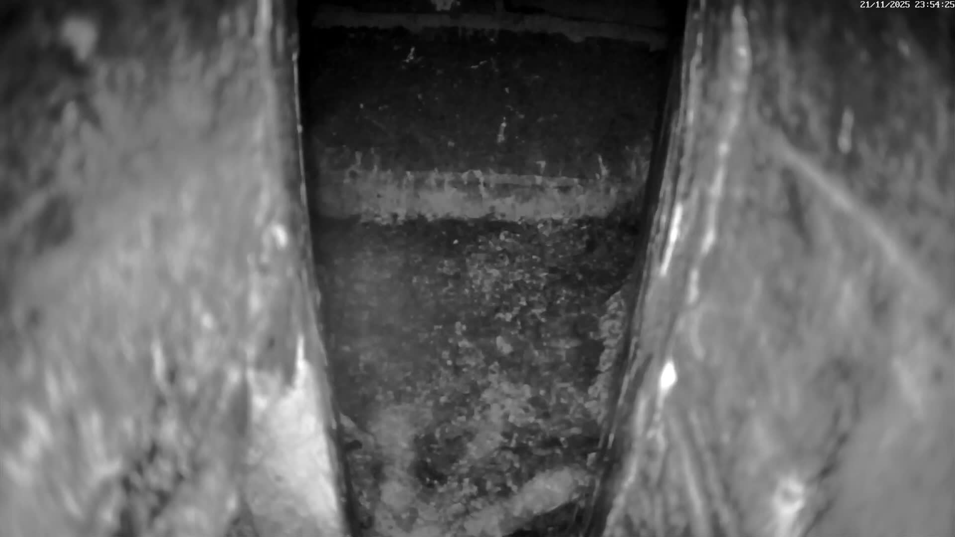 Le Havre , Faucon Crécerelle Falcons Natural Life Live Cam - Le Havre, Seine-Maritime, Normandie, France