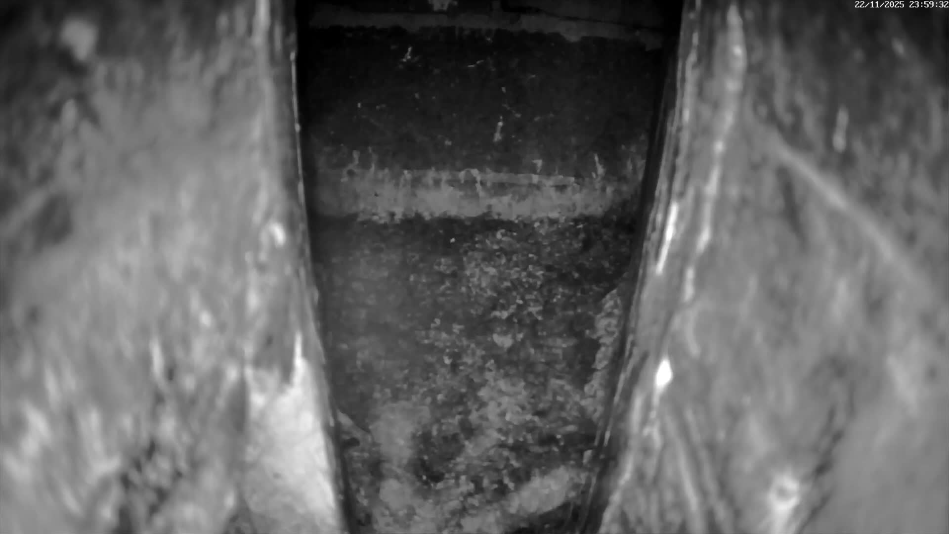 Le Havre , Faucon Crécerelle Falcons Natural Life Live Cam - Le Havre, Seine-Maritime, Normandie, France