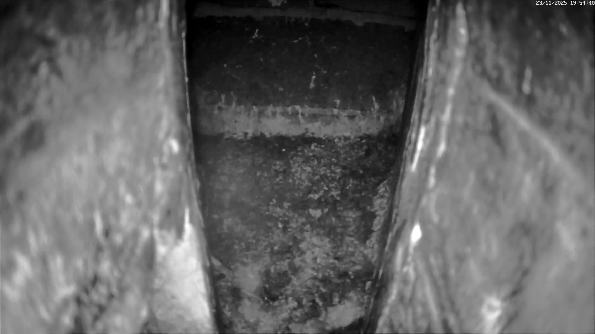 Le Havre , Faucon Crécerelle Falcons Natural Life Live Cam - Le Havre, Seine-Maritime, Normandie, France