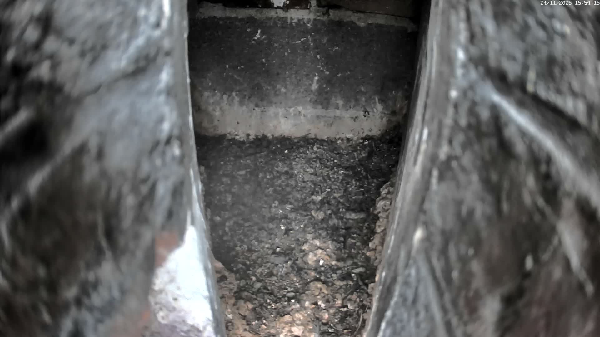 Le Havre , Faucon Crécerelle Falcons Natural Life Live Cam - Le Havre, Seine-Maritime, Normandie, France