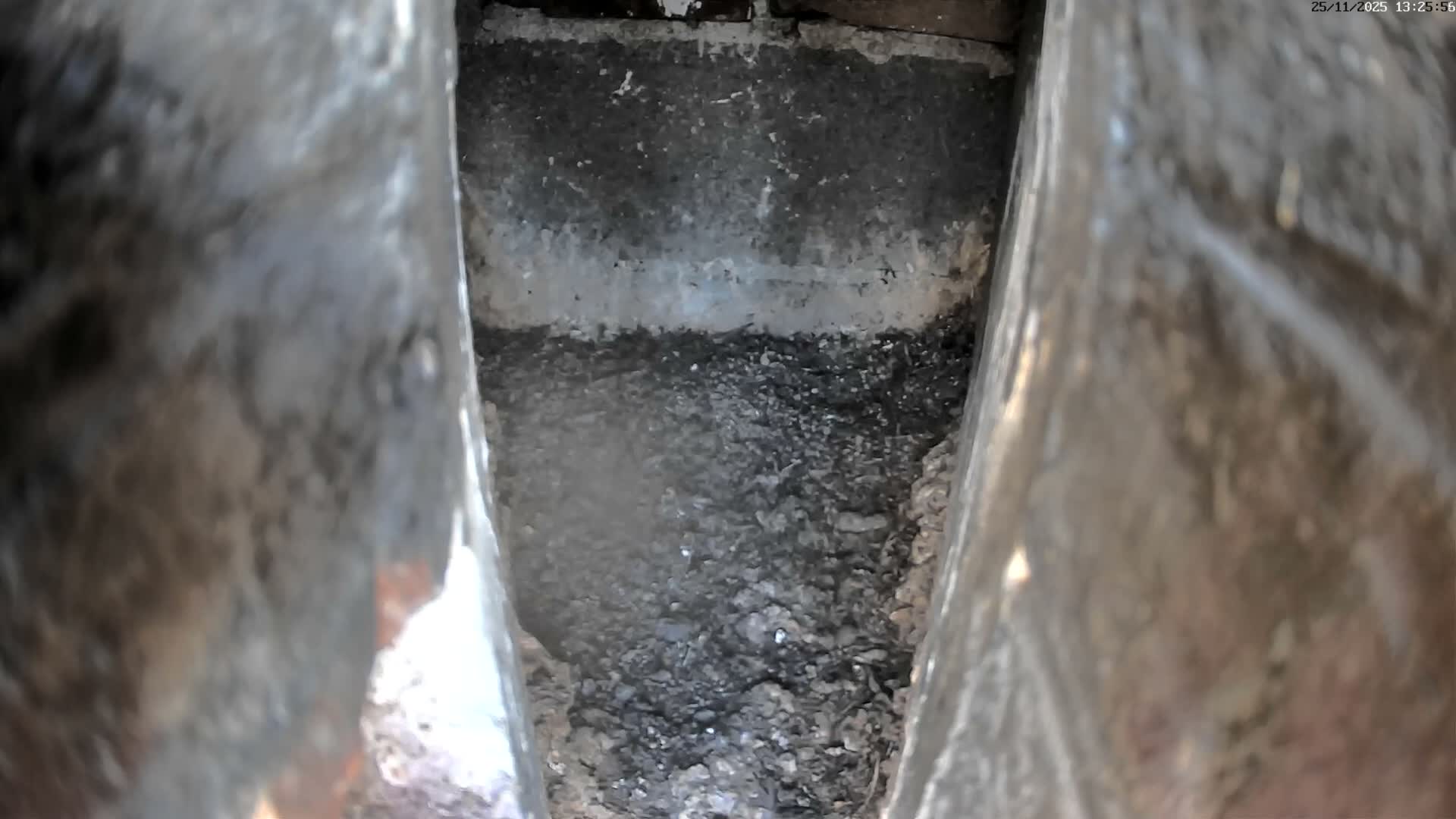 Le Havre , Faucon Crécerelle Falcons Natural Life Live Cam - Le Havre, Seine-Maritime, Normandie, France