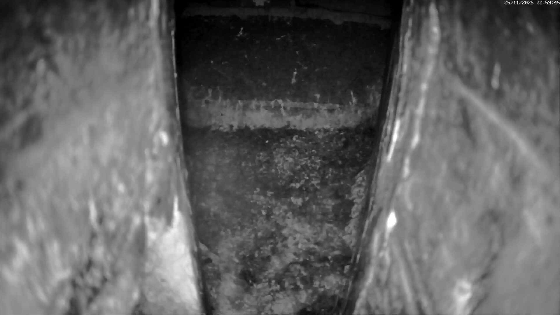 Le Havre , Faucon Crécerelle Falcons Natural Life Live Cam - Le Havre, Seine-Maritime, Normandie, France