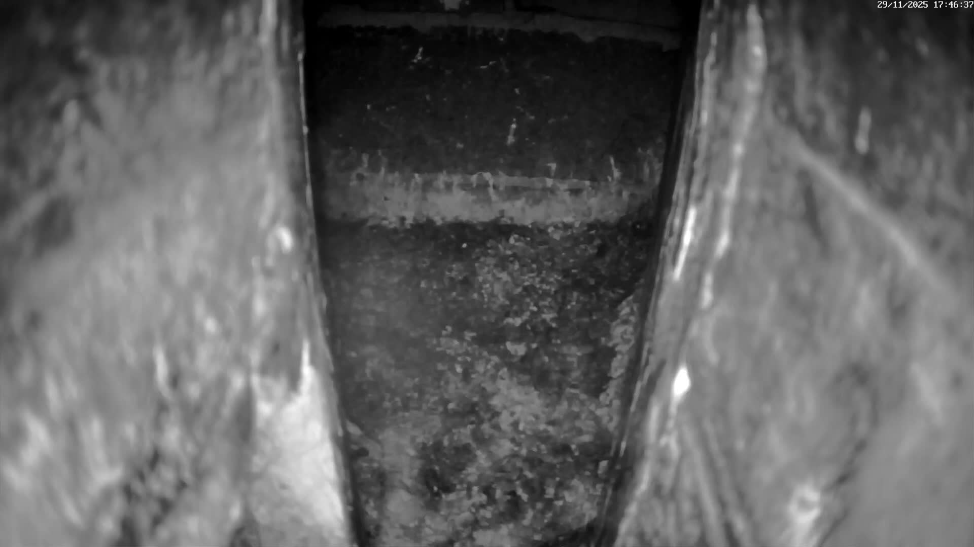 Le Havre , Faucon Crécerelle Falcons Natural Life Live Cam - Le Havre, Seine-Maritime, Normandie, France