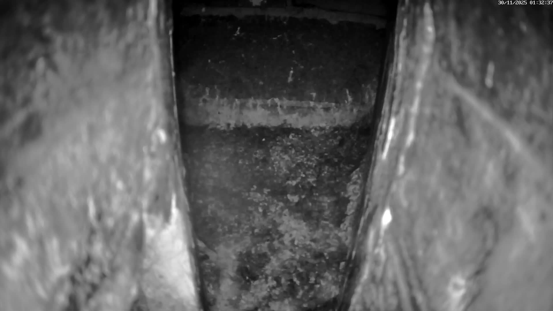 Le Havre , Faucon Crécerelle Falcons Natural Life Live Cam - Le Havre, Seine-Maritime, Normandie, France