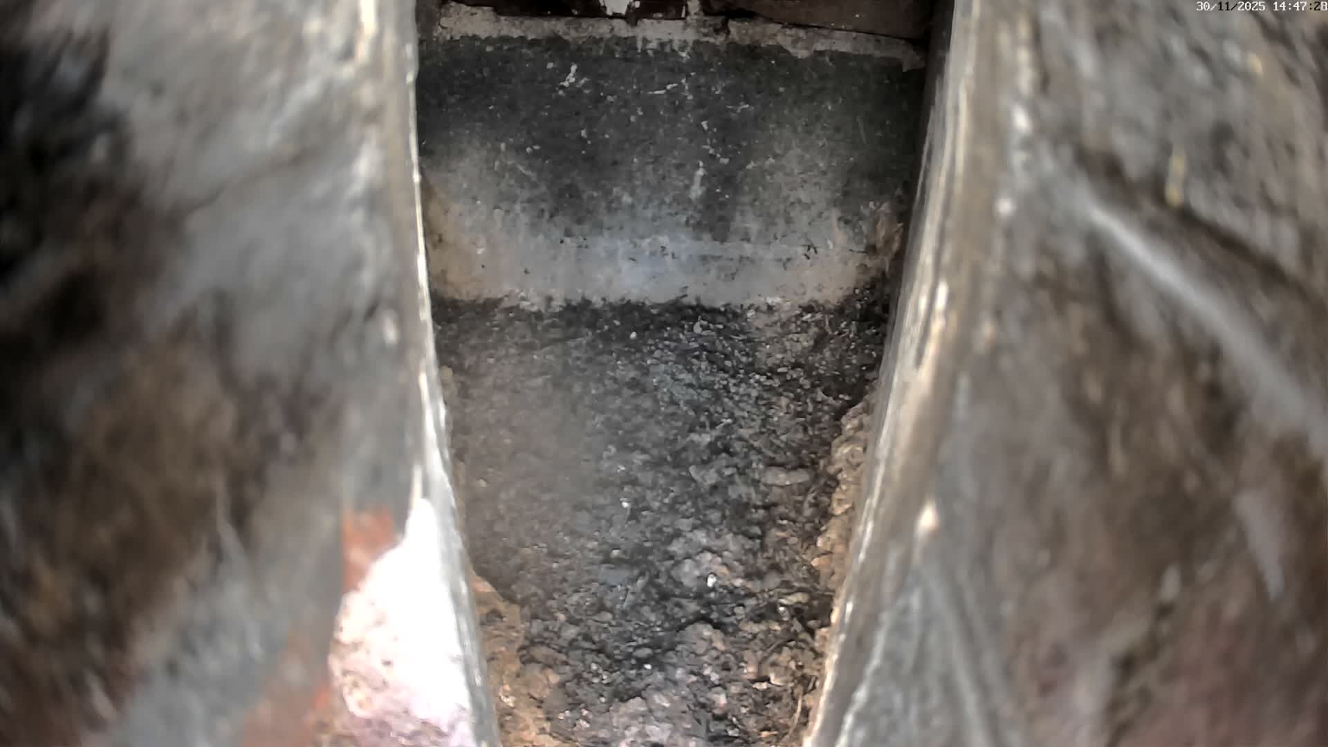 Le Havre , Faucon Crécerelle Falcons Natural Life Live Cam - Le Havre, Seine-Maritime, Normandie, France