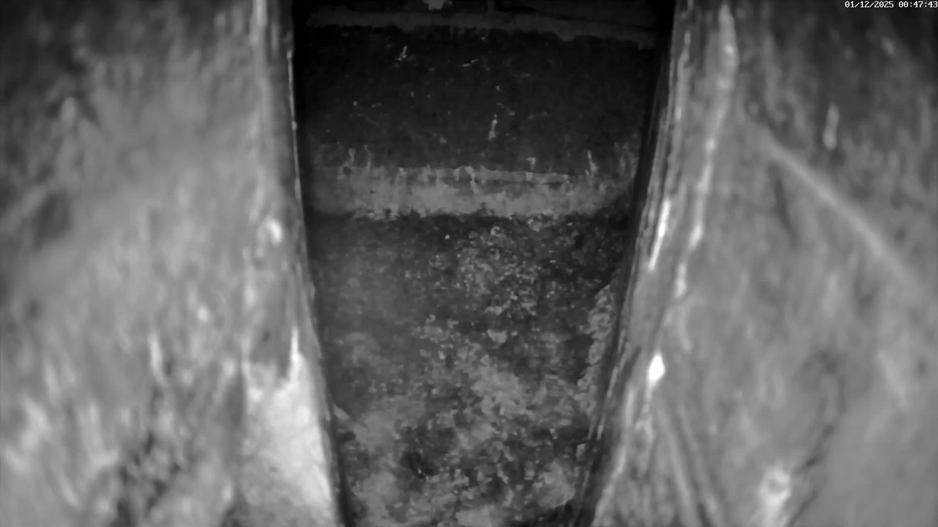 Le Havre , Faucon Crécerelle Falcons Natural Life Live Cam - Le Havre, Seine-Maritime, Normandie, France