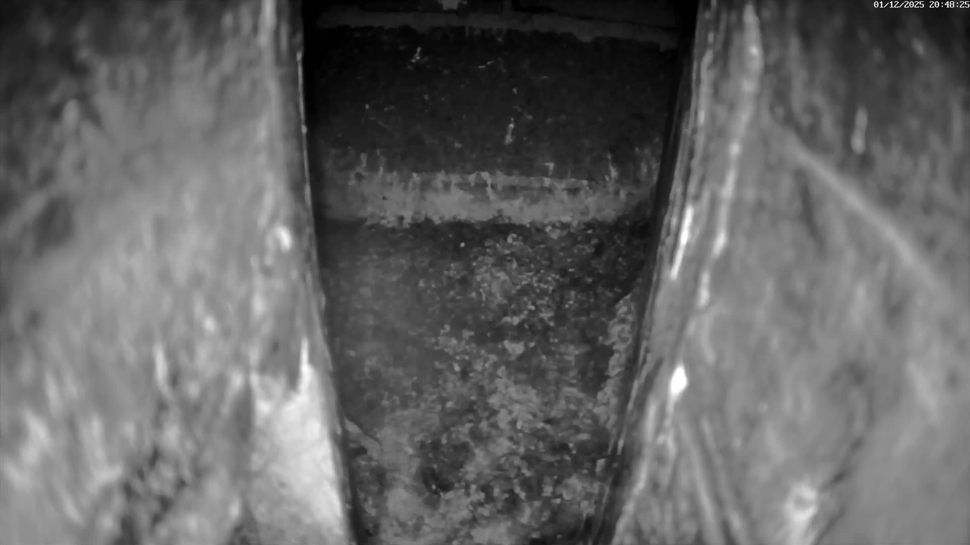 Le Havre , Faucon Crécerelle Falcons Natural Life Live Cam - Le Havre, Seine-Maritime, Normandie, France