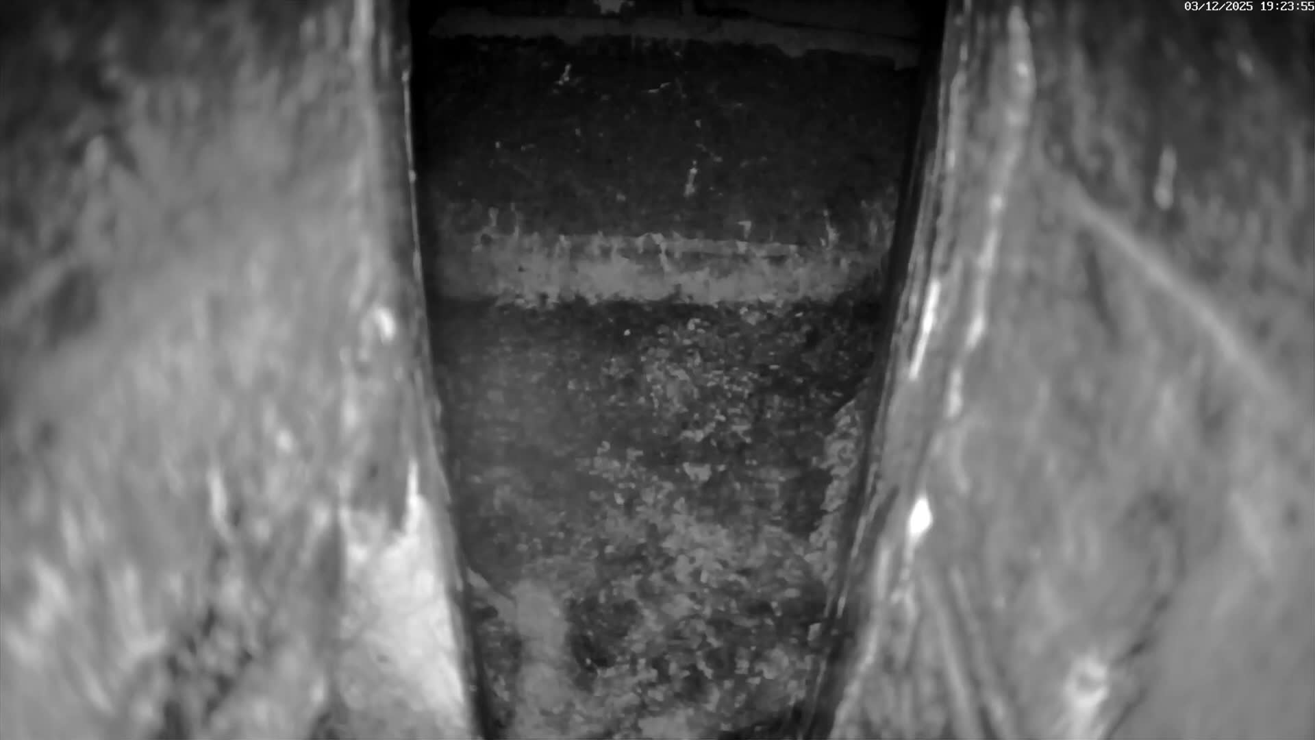 Le Havre , Faucon Crécerelle Falcons Natural Life Live Cam - Le Havre, Seine-Maritime, Normandie, France