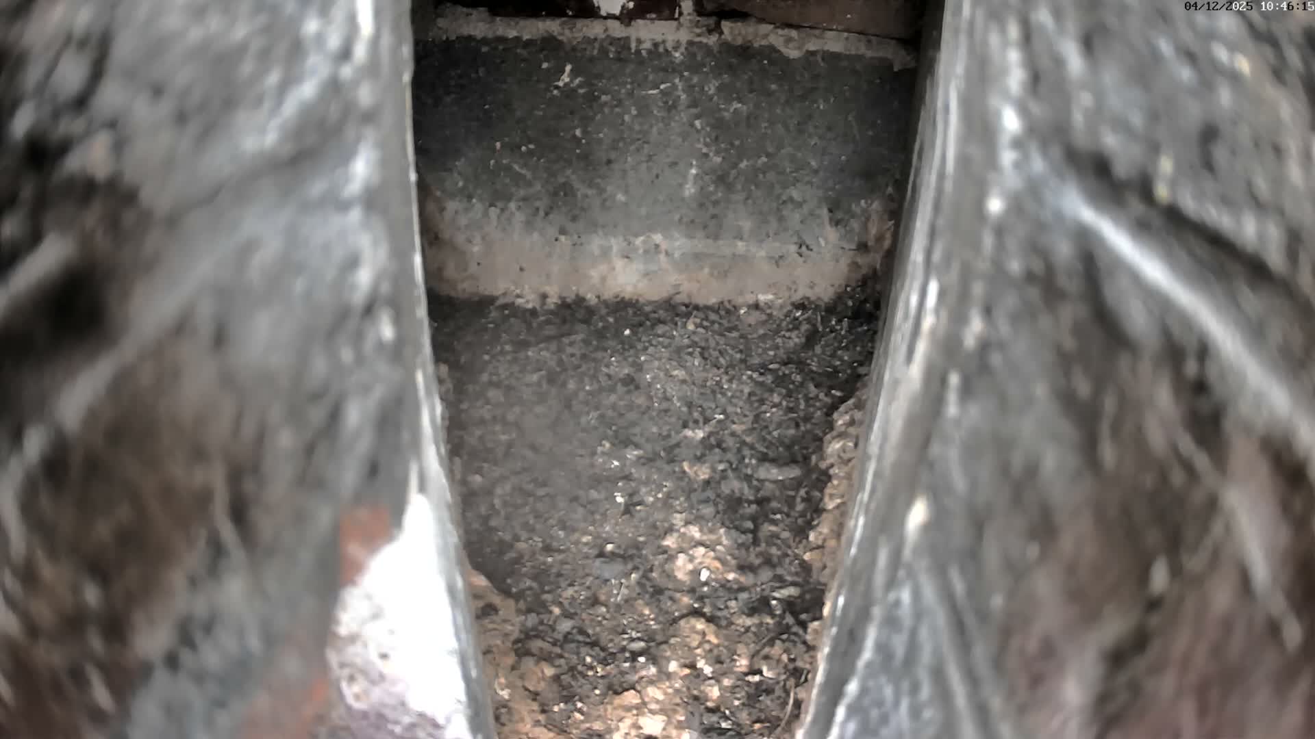 Le Havre , Faucon Crécerelle Falcons Natural Life Live Cam - Le Havre, Seine-Maritime, Normandie, France