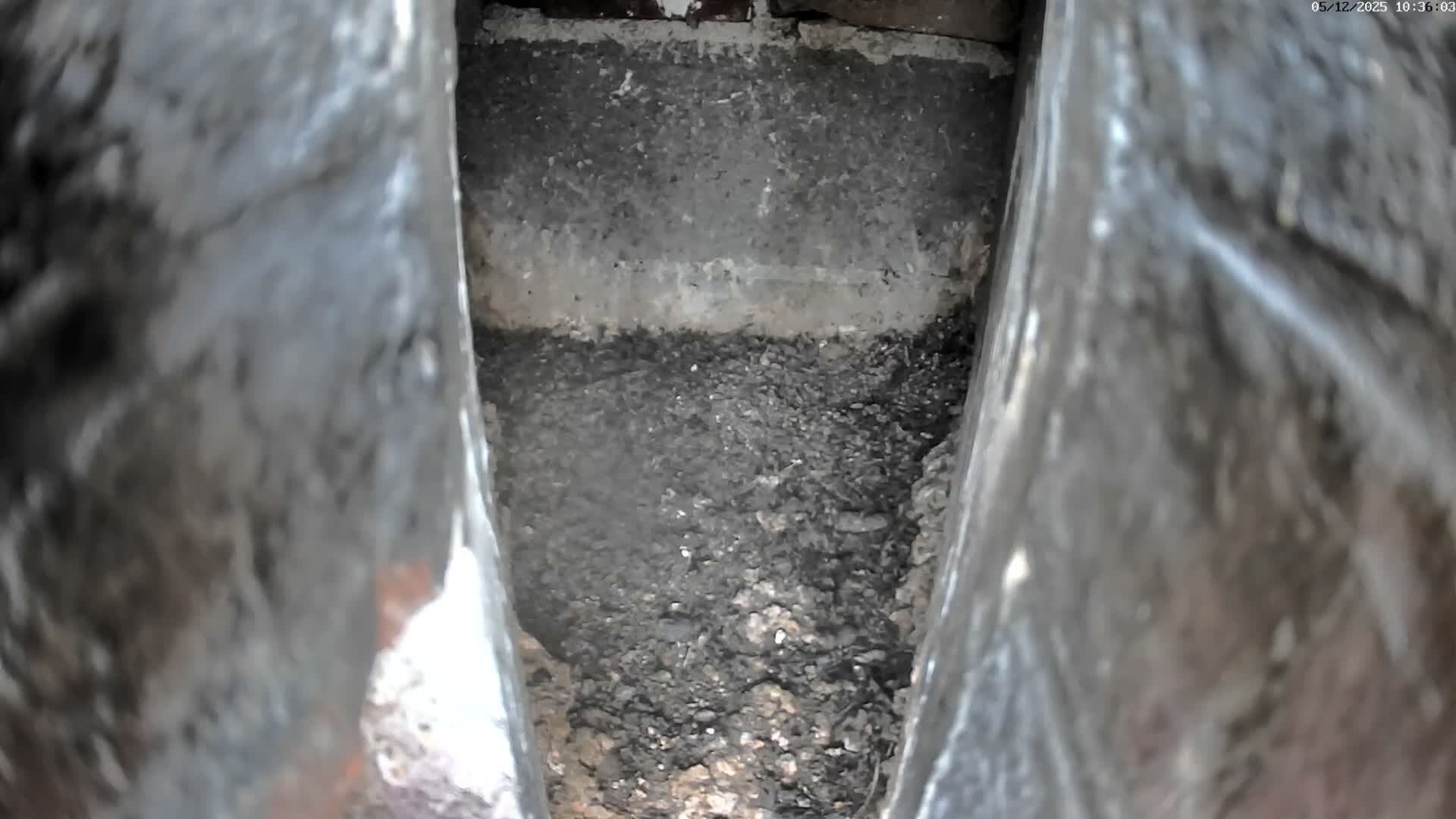 Le Havre , Faucon Crécerelle Falcons Natural Life Live Cam - Le Havre, Seine-Maritime, Normandie, France