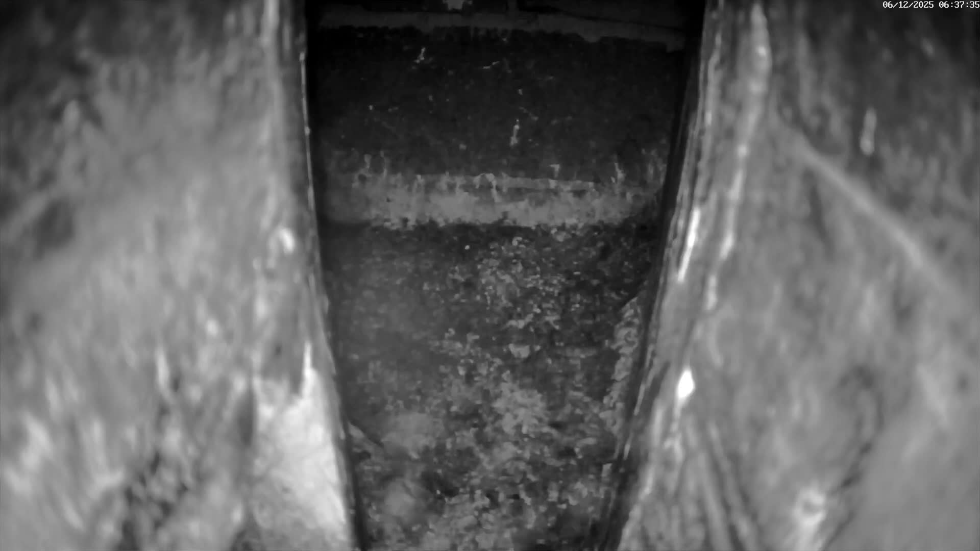 Le Havre , Faucon Crécerelle Falcons Natural Life Live Cam - Le Havre, Seine-Maritime, Normandie, France