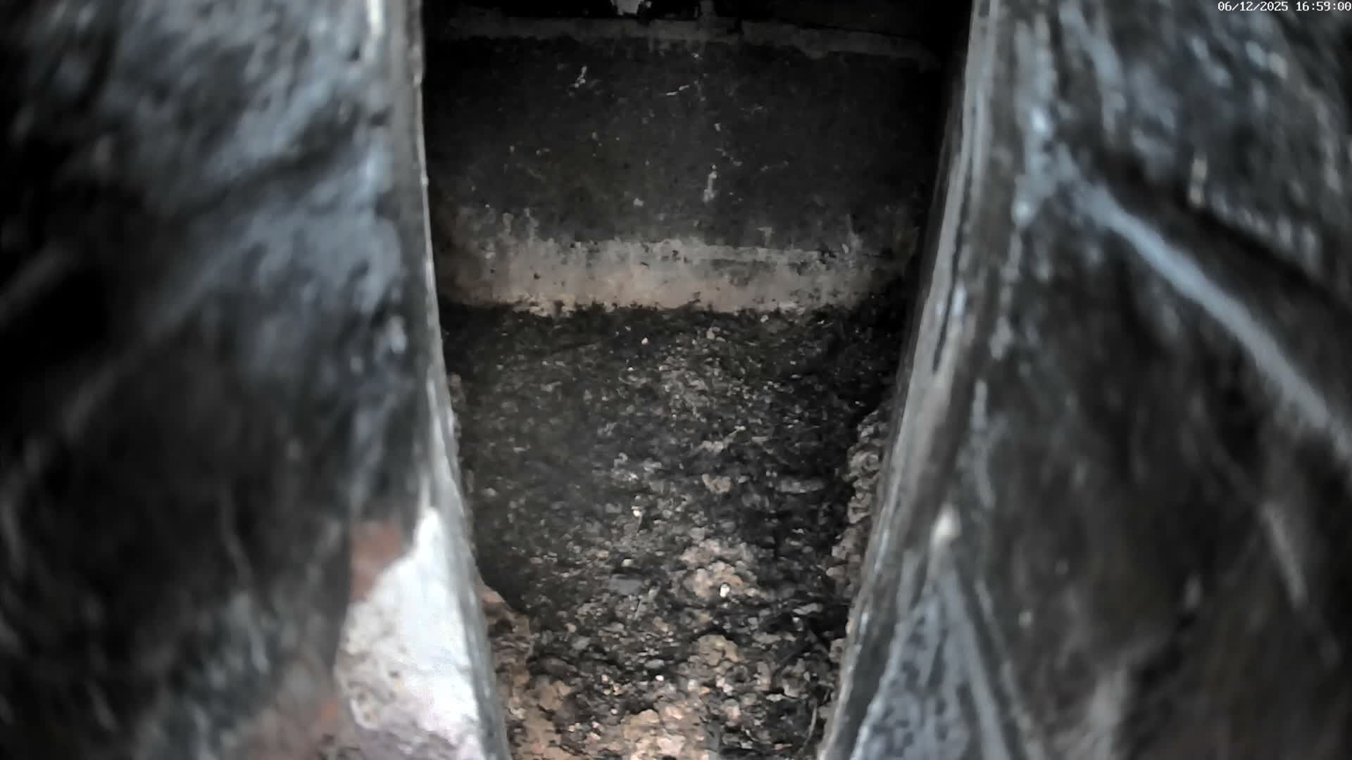 Le Havre , Faucon Crécerelle Falcons Natural Life Live Cam - Le Havre, Seine-Maritime, Normandie, France