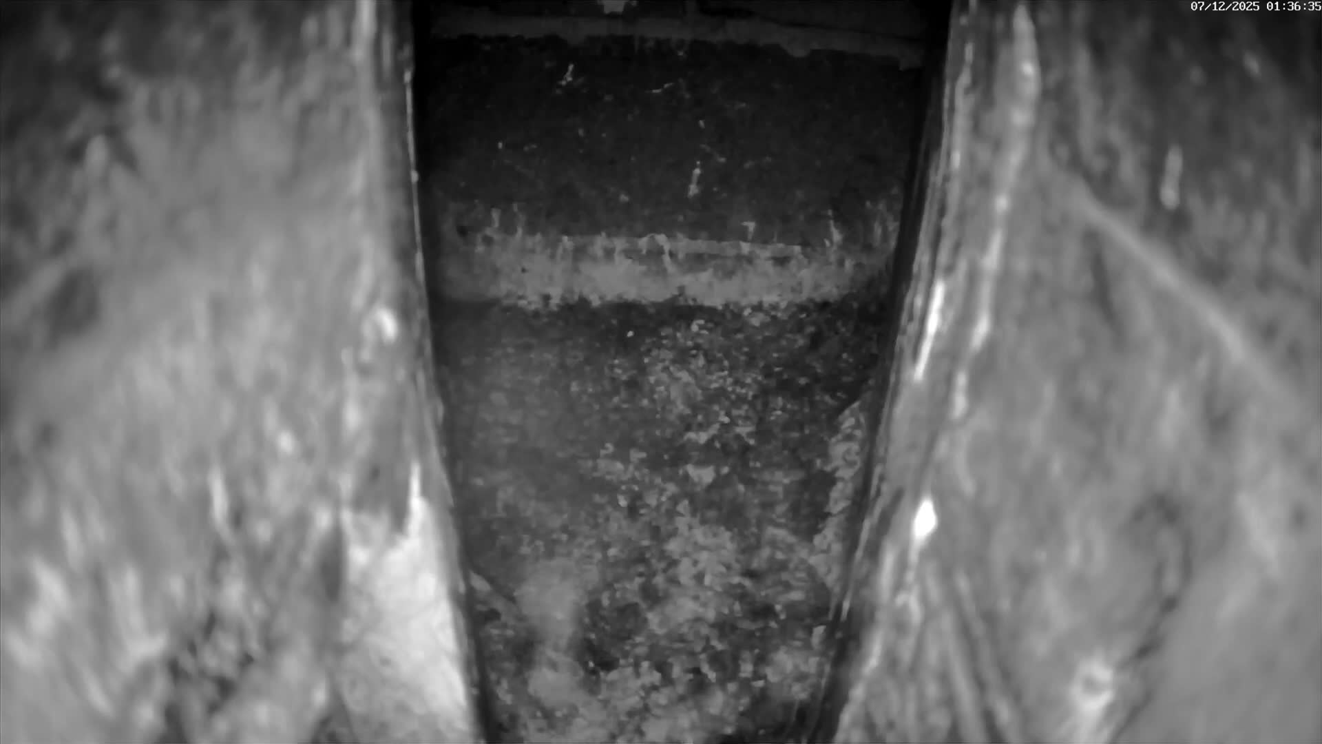 Le Havre , Faucon Crécerelle Falcons Natural Life Live Cam - Le Havre, Seine-Maritime, Normandie, France