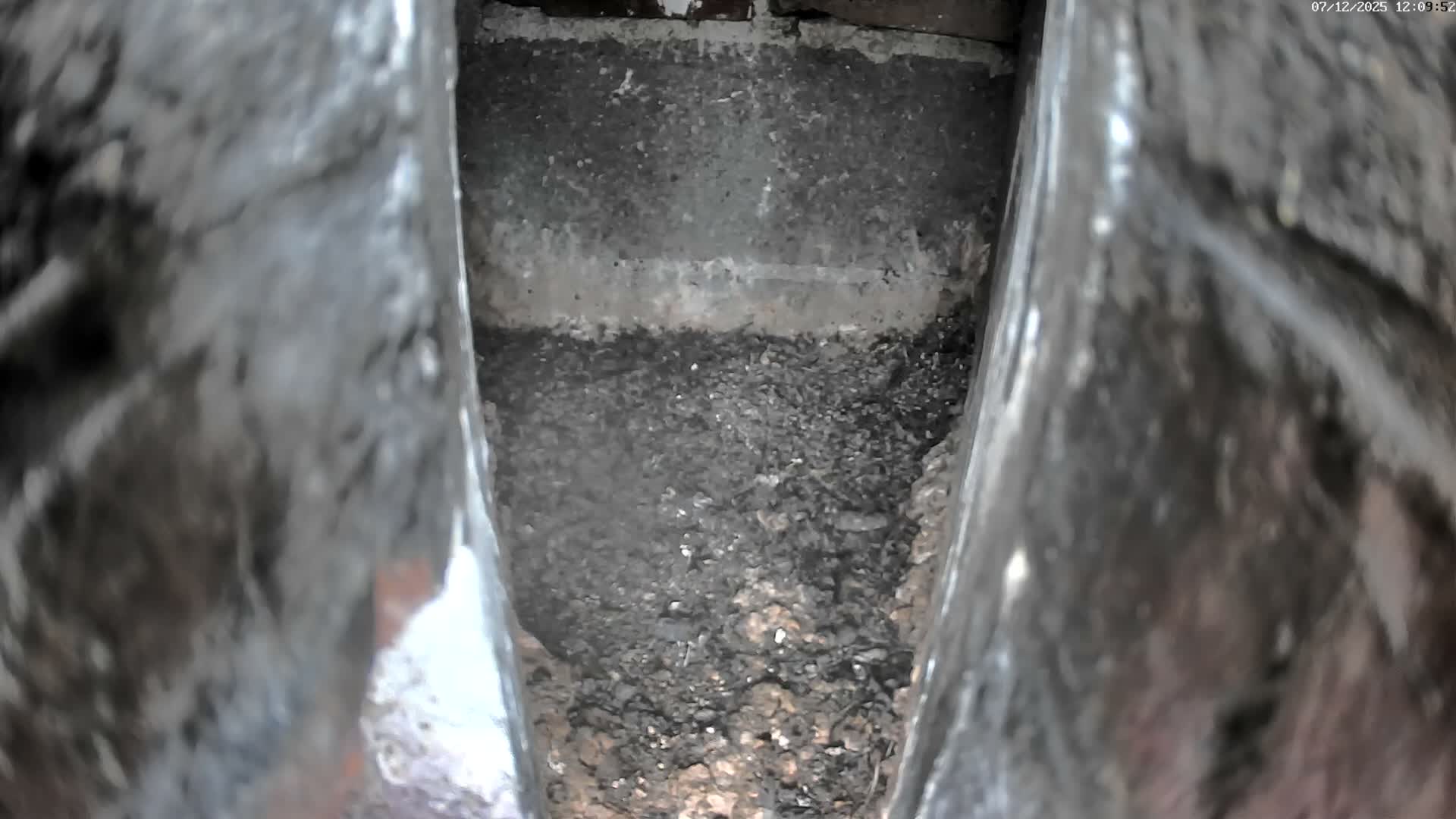 Le Havre , Faucon Crécerelle Falcons Natural Life Live Cam - Le Havre, Seine-Maritime, Normandie, France