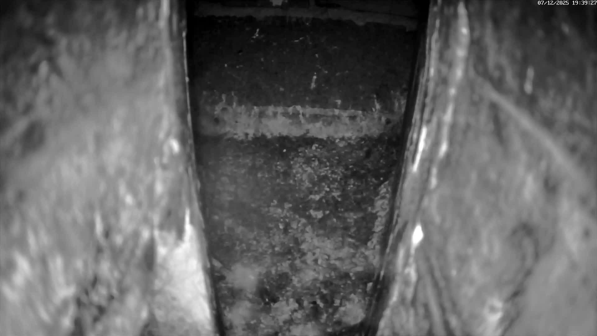 Le Havre , Faucon Crécerelle Falcons Natural Life Live Cam - Le Havre, Seine-Maritime, Normandie, France