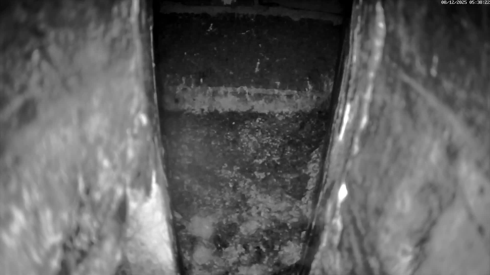 Le Havre , Faucon Crécerelle Falcons Natural Life Live Cam - Le Havre, Seine-Maritime, Normandie, France