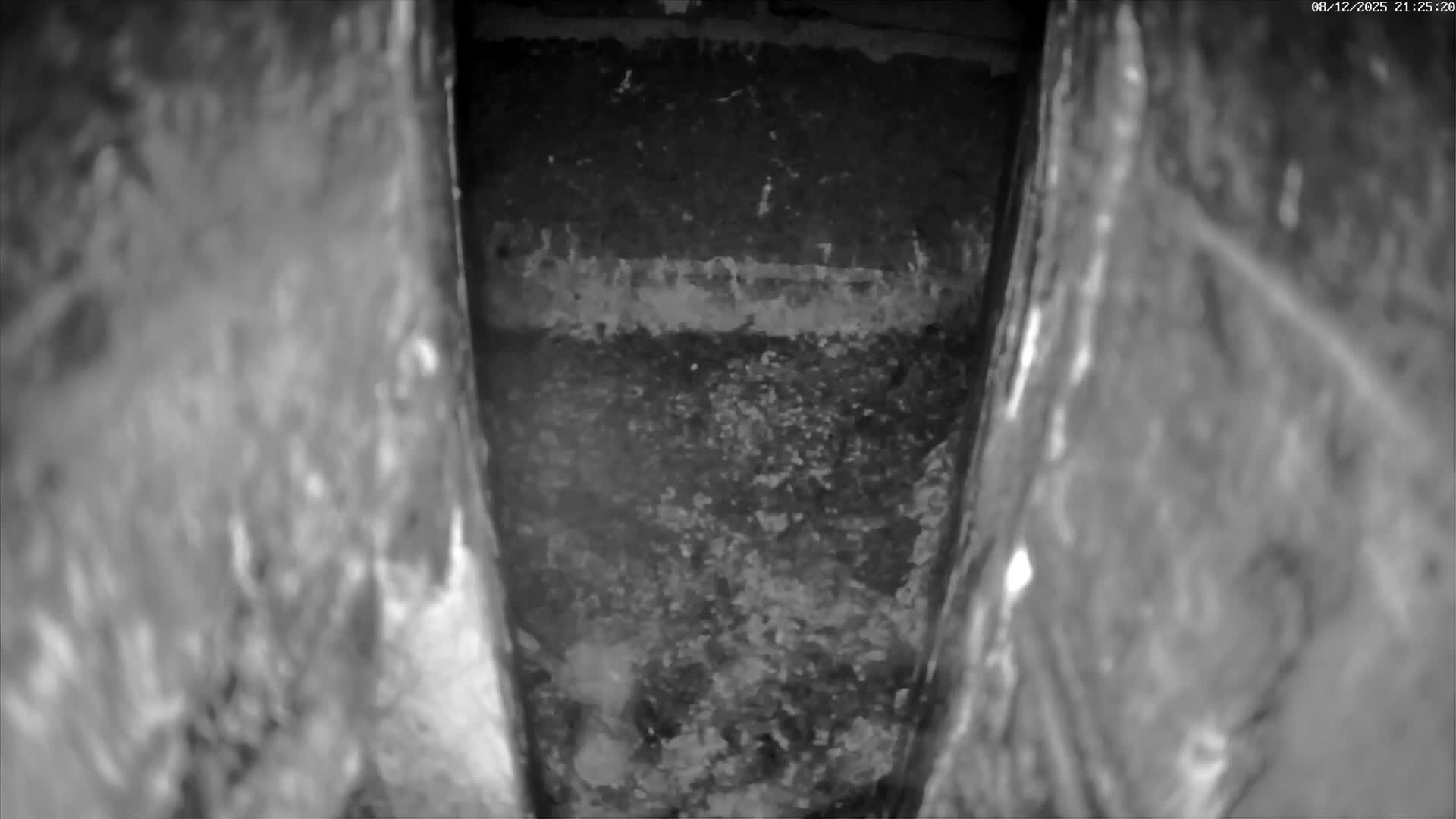 Le Havre , Faucon Crécerelle Falcons Natural Life Live Cam - Le Havre, Seine-Maritime, Normandie, France