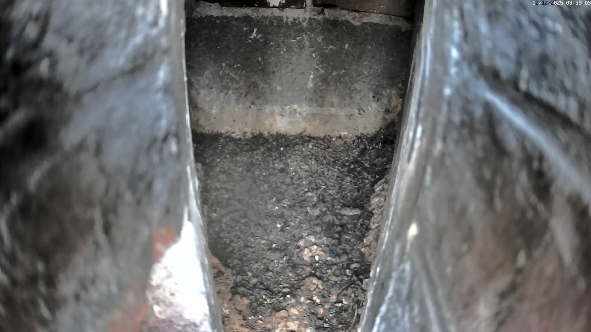 Le Havre , Faucon Crécerelle Falcons Natural Life Live Cam - Le Havre, Seine-Maritime, Normandie, France