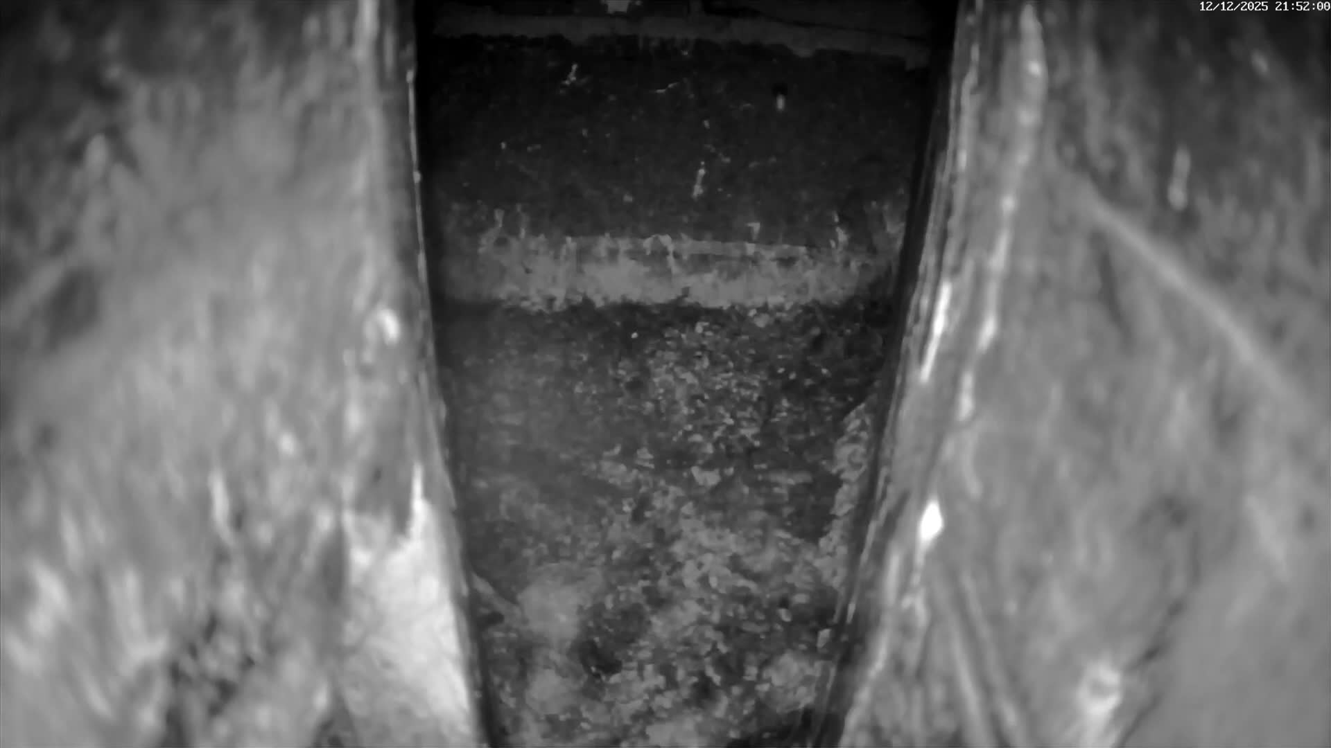 Le Havre , Faucon Crécerelle Falcons Natural Life Live Cam - Le Havre, Seine-Maritime, Normandie, France