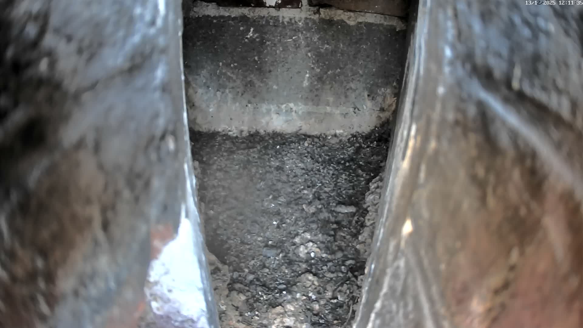 Le Havre , Faucon Crécerelle Falcons Natural Life Live Cam - Le Havre, Seine-Maritime, Normandie, France