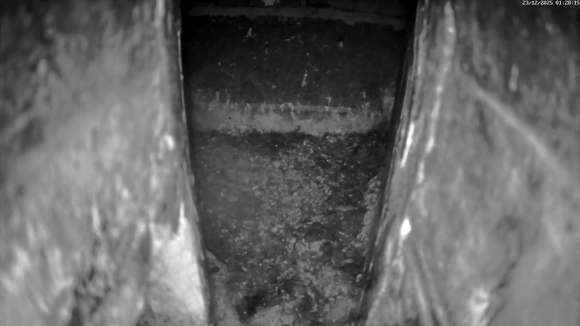 Le Havre , Faucon Crécerelle Falcons Natural Life Live Cam - Le Havre, Seine-Maritime, Normandie, France